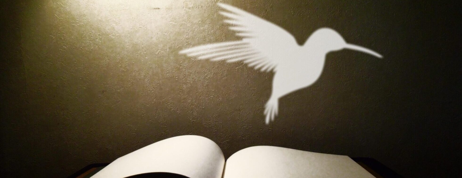 Book Club with the Boxborough Birders